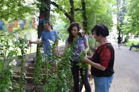 Grădinar de nevoie: Un orădean îngrijește voluntar grădina din parcul Libertăţii creată de Marius florarul (FOTO)