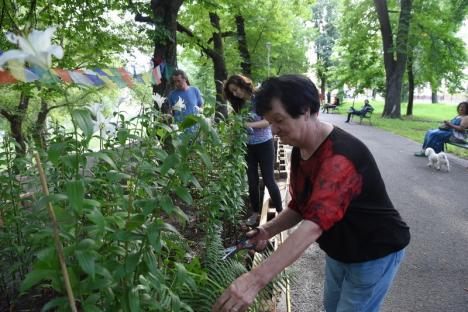 Grădinar de nevoie: Un orădean îngrijește voluntar grădina din parcul Libertăţii creată de Marius florarul (FOTO)