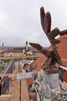 IMAGINI SPECTACULOASE. Constructorii au ridicat pe acoperişul Primăriei Oradea vulturul ocrotitor al oraşului (FOTO / VIDEO)