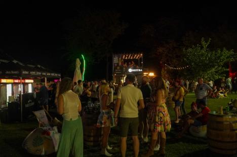 Waves Festival a început în forță, cu mii de fani dansând pe muzica DJ-ului Tujamo (FOTO/VIDEO)