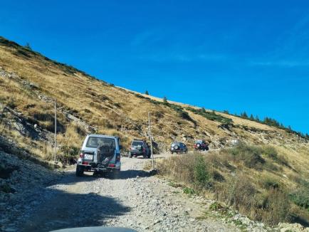 S-au plimbat şi au făcut curat prin munţi din Bihor. Membrii West Alpine Off Road au adunat saci de gunoaie (FOTO)