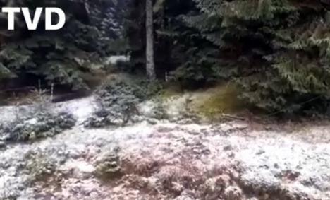 Zăpadă în octombrie: Ninge la munte în Bihor (VIDEO)