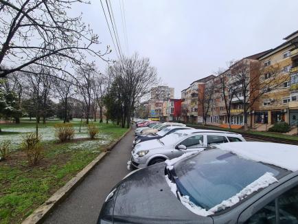 Zăpada mieilor: Bihorenii s-au trezit cu grădinile „albite”. La munte, este cod galben de ninsoare! (FOTO)