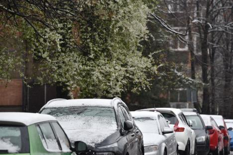 Zăpada mieilor: Bihorenii s-au trezit cu grădinile „albite”. La munte, este cod galben de ninsoare! (FOTO)