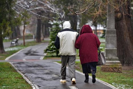 Zăpada mieilor: Bihorenii s-au trezit cu grădinile „albite”. La munte, este cod galben de ninsoare! (FOTO)