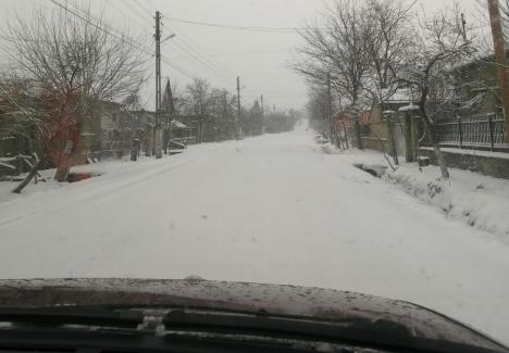 Bihorul sub zăpadă: Ninge abundent, şoferii se plâng că unele drumuri n-au fost deszăpezite (FOTO)