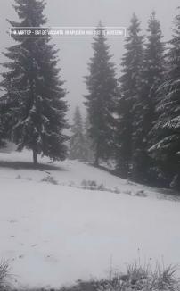 Ninsoare în munţii din Bihor: La Vârtop, s-a depus primul strat de zăpadă (FOTO / VIDEO)