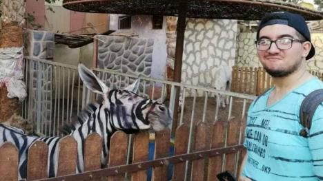 Au pictat un măgar în zebră? O grădină zoologică din Egipt e acuzată că păcălește vizitatorii