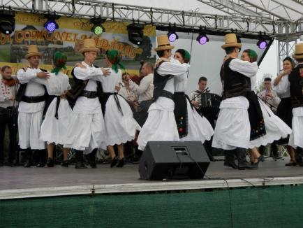 Muzică şi voie bună la Homorog, de ziua comunei Mădăras (FOTO)