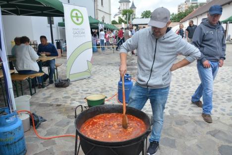 'Călăreţii Diavolului' din Győr au făcut demonstraţii de turnir, iar bucătari iscusiţi au gătit bunătăţi ungureşti în Cetate. Vezi programul Zilelor Sfântului Ladislau (FOTO/VIDEO)