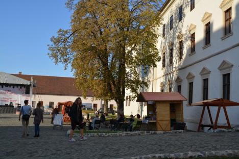 Debut cu puţini ofertanţi şi participanţi la Zilele Culturii Maghiare din Cetate (FOTO)
