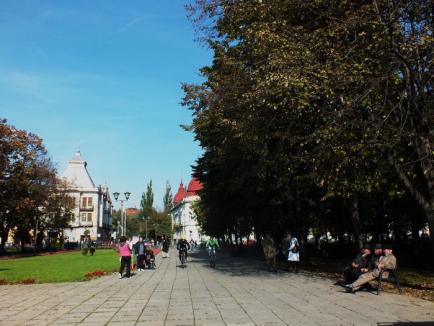 Trăiască oastea românească! Orădenii au sărbătorit Ziua Armatei (FOTO)