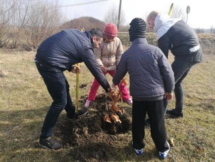 Voluntari pentru natură: Comisarii Gărzii de Mediu şi elevii din Biharia au plantat 100 de copaci (FOTO)