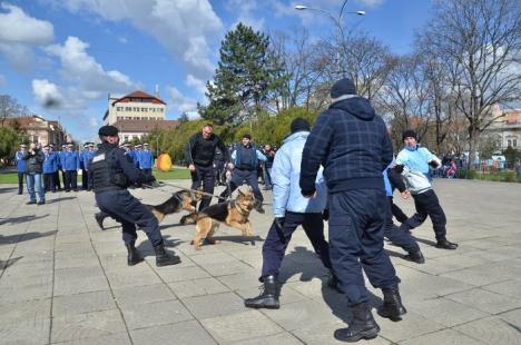 Ziua Jandarmeriei: Demonstraţii cu tâlhari şi câini eroi, în Parcul 1 Decembrie (FOTO/VIDEO)