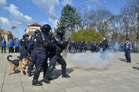 Ziua Jandarmeriei: Demonstraţii cu tâlhari şi câini eroi, în Parcul 1 Decembrie (FOTO/VIDEO)