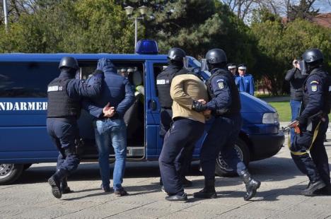 Ziua Jandarmeriei: Demonstraţii cu tâlhari şi câini eroi, în Parcul 1 Decembrie (FOTO/VIDEO)