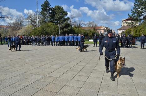 Ziua Jandarmeriei: Demonstraţii cu tâlhari şi câini eroi, în Parcul 1 Decembrie (FOTO/VIDEO)