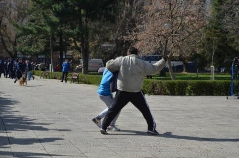 Ziua Jandarmeriei: Demonstraţii cu tâlhari şi câini eroi, în Parcul 1 Decembrie (FOTO/VIDEO)