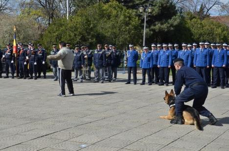 Ziua Jandarmeriei: Demonstraţii cu tâlhari şi câini eroi, în Parcul 1 Decembrie (FOTO/VIDEO)