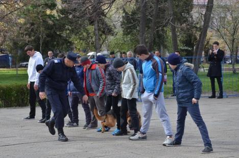 Ziua Jandarmeriei: Demonstraţii cu tâlhari şi câini eroi, în Parcul 1 Decembrie (FOTO/VIDEO)