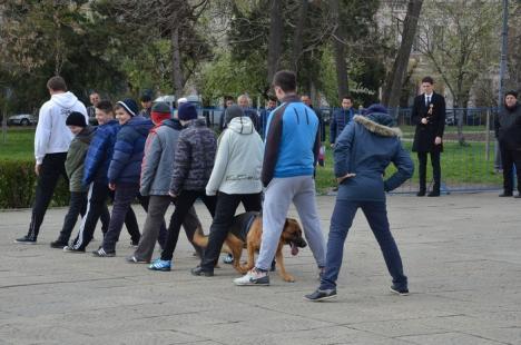 Ziua Jandarmeriei: Demonstraţii cu tâlhari şi câini eroi, în Parcul 1 Decembrie (FOTO/VIDEO)