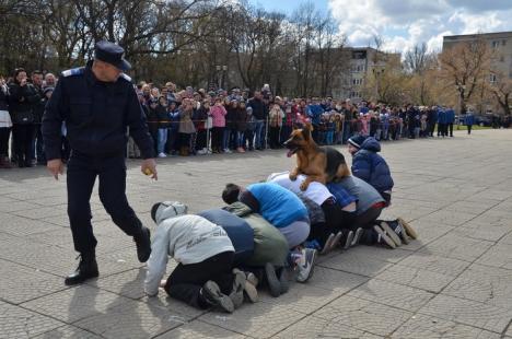 Ziua Jandarmeriei: Demonstraţii cu tâlhari şi câini eroi, în Parcul 1 Decembrie (FOTO/VIDEO)