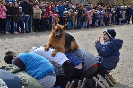 Ziua Jandarmeriei: Demonstraţii cu tâlhari şi câini eroi, în Parcul 1 Decembrie (FOTO/VIDEO)