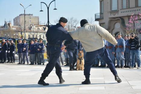 Centenarul Jandarmeriei Bihor: Lupte corp la corp, demonstraţii cu câinii de intervenţie şi focuri de armă, în Piaţa Unirii (FOTO / VIDEO)