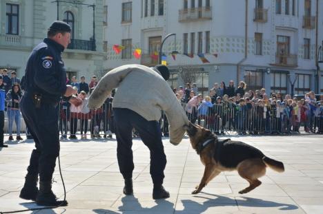 Centenarul Jandarmeriei Bihor: Lupte corp la corp, demonstraţii cu câinii de intervenţie şi focuri de armă, în Piaţa Unirii (FOTO / VIDEO)