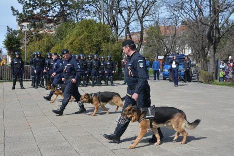 Focuri de armă, mascaţi şi câini dresaţi, în centrul Oradiei, de Ziua Jandarmeriei (FOTO/VIDEO)