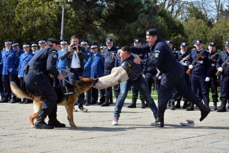 Focuri de armă, mascaţi şi câini dresaţi, în centrul Oradiei, de Ziua Jandarmeriei (FOTO/VIDEO)