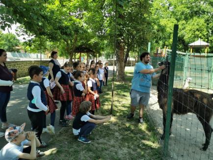 De Ziua Mediului, instituţia care îl ocroteşte i-a învăţat pe copiii din Oradea cum să respecte natura (FOTO)