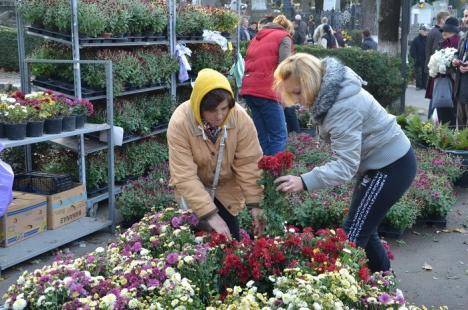 De Ziua Morţilor, Cimitirul Municipal s-a umplut de culoare (FOTO)