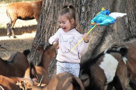 Ziua părinţilor adoptivi la Zoo Oradea
