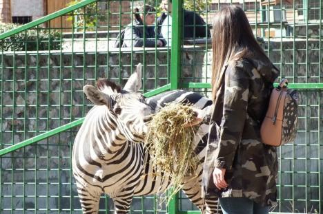 Ziua părinţilor adoptivi la Zoo Oradea