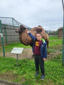 ADP Oradea: O zi în compania animalelor. Eveniment dedicat părinților adoptivi la Zoo (FOTO)