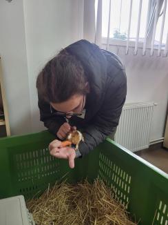 ADP Oradea: O zi în compania animalelor. Eveniment dedicat părinților adoptivi la Zoo (FOTO)