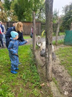 ADP Oradea: O zi în compania animalelor. Eveniment dedicat părinților adoptivi la Zoo (FOTO)