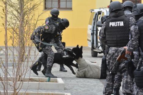 Poliţiştii, sub asalt: Ziua Poliţiei a adus sute de copii în Cetatea Oradea (FOTO / VIDEO)