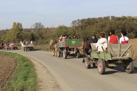 Sărbătoare cu tradiție la Sântimreu: Comunitatea maghiară a marcat sărbătoarea recoltei de struguri (FOTO)