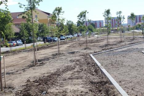 5 spaţii verzi noi, în pregătire în Oradea. În ce stadiu sunt lucrările (FOTO)