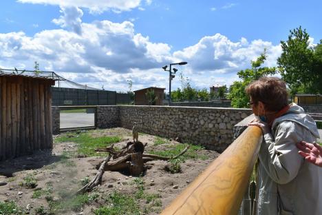 Oradea ieri, Oradea azi: Povestea grădinii zoologice din „buricul târgului” (FOTO)