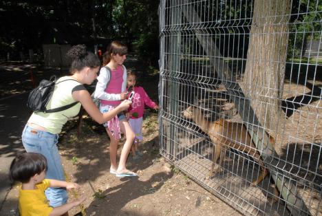 Oradea ieri, Oradea azi: Povestea grădinii zoologice din „buricul târgului” (FOTO)
