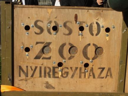 Cadou de la Nyíregyháza: Zoo Oradea a primit o leoaică, patru antilope şi un vultur (FOTO/VIDEO)