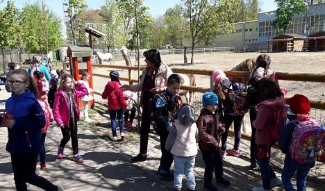 Școala Altfel, la Zoo Oradea și Adăpostul Grivei (FOTO)