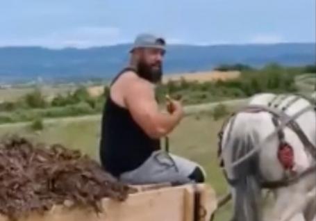 Lacrimi și nervi: După ce a schingiuit calul, s-a apucat să îi înjure pe polițiști pe Facebook (VIDEO)