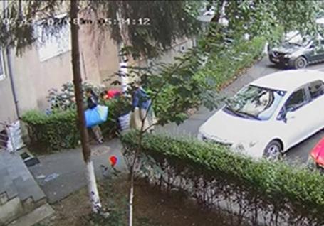 Flori furate din curtea unui bloc din Oradea: trei femei, filmate dis-de-dimineață, în timp ce smulgeau plantele (VIDEO)