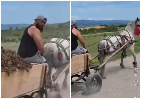 Un bărbat din Aștileu a fost reținut după ce a chinuit un cal înhămat la o căruță cu frânele blocate (VIDEO)