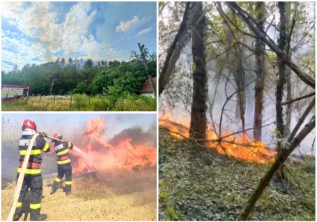 10 incendii de vegetație în Bihor, în weekend. Focul s-a reaprins în pădurea din Spinuș. Avertismentul șefului ISU Crișana