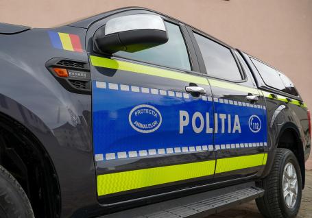 Tânăr din Bihor, reținut după ce a lovit cu piciorul câinele unui vecin, prin gard, și l-a rănit